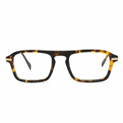 Wagne Tortoise Aviator Glasses