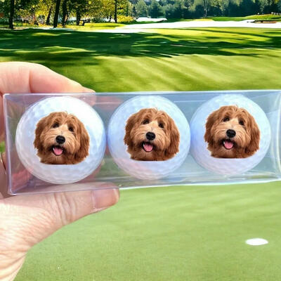 Personalized Golf Balls Set of 3 Custom Pet Photo Desktop Ornaments Gift for Pet Lovers
