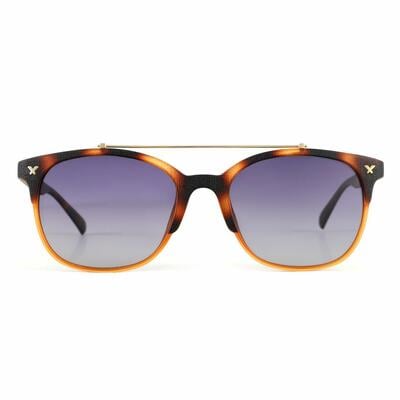 Ward Tortoise Aviator Sunglasses