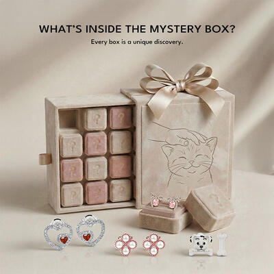 Jeulia Mystery Earring Box