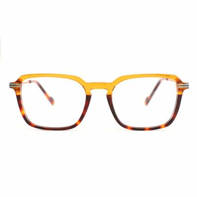 Josh Tortoise Square Glasses