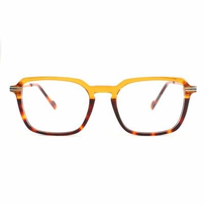 Josh Tortoise Square Glasses