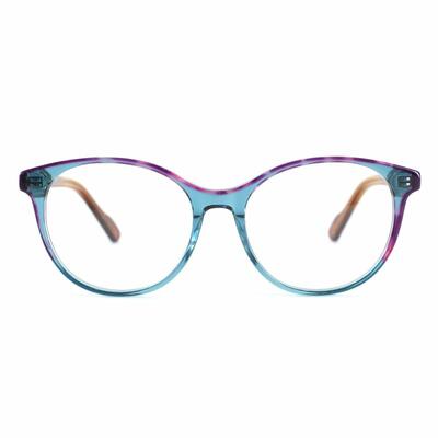 Coverdale Lunettes Rondes Bleues