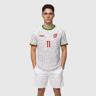 Custom Iran Home-Inspired Soccer Jersey-Personalized Name & Number