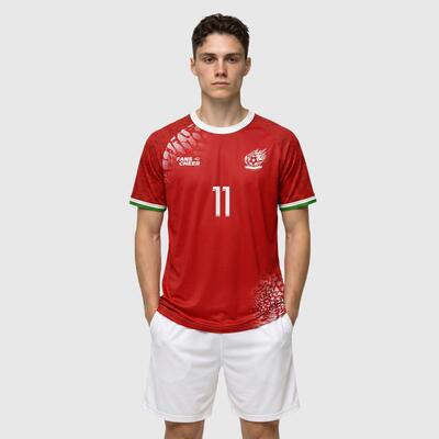 Custom Iran Away-Inspired Soccer Jersey-Personalized Name & Number