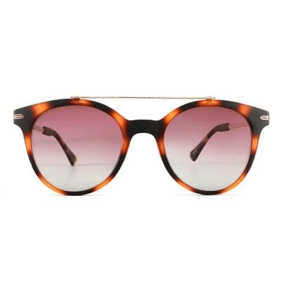 Forster Tortoise Aviator Sunglasses