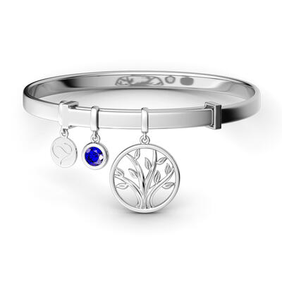 Jeulia Blessing Charm Bangle