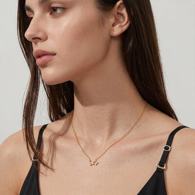 "The Flare" Leo Constellation Necklace
