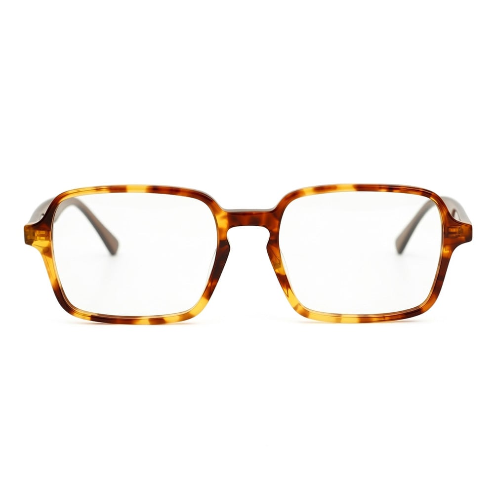 Hamilton Tortoise Rectangle Glasses