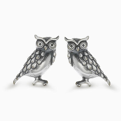 Jeulia "Wisdom Owl" Sterling Silver Earrings