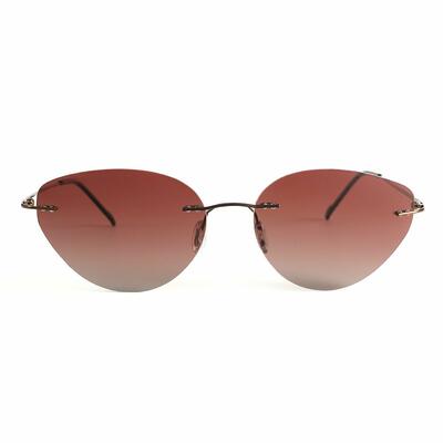 Zero Lunettes de soleil Cat Eye Marron