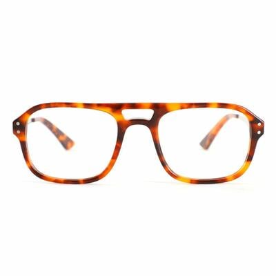 Robin Tortoise Aviator Glasses