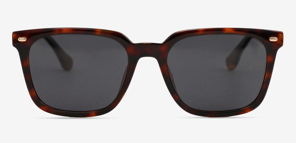 Carl Tortoise Square Sunglasses