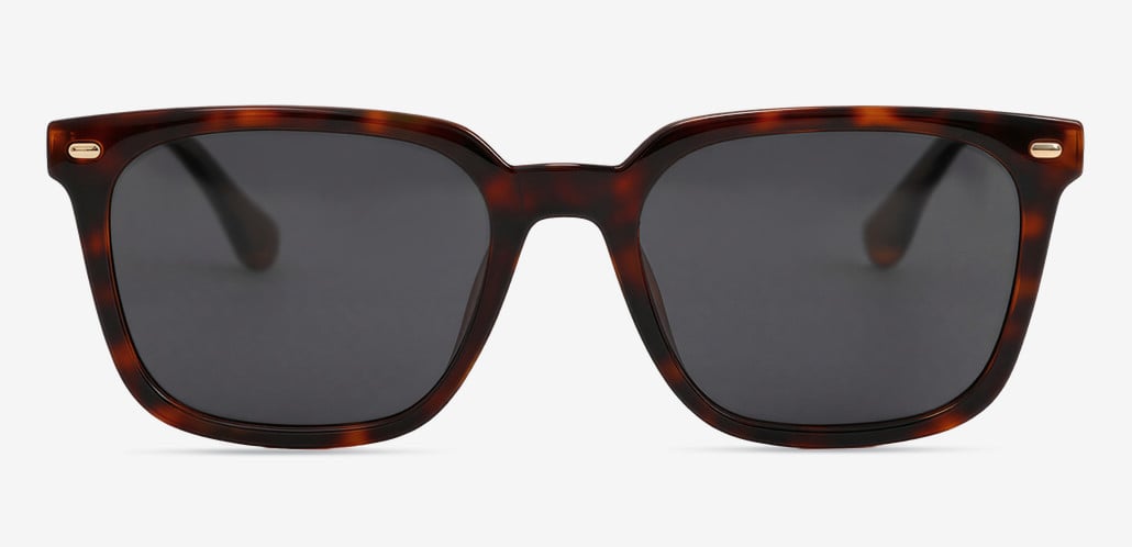 Carl Tortoise Square Sunglasses