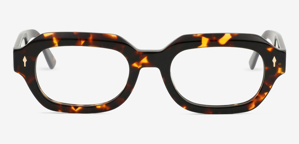 Hall Tortoise Rectangle Glasses