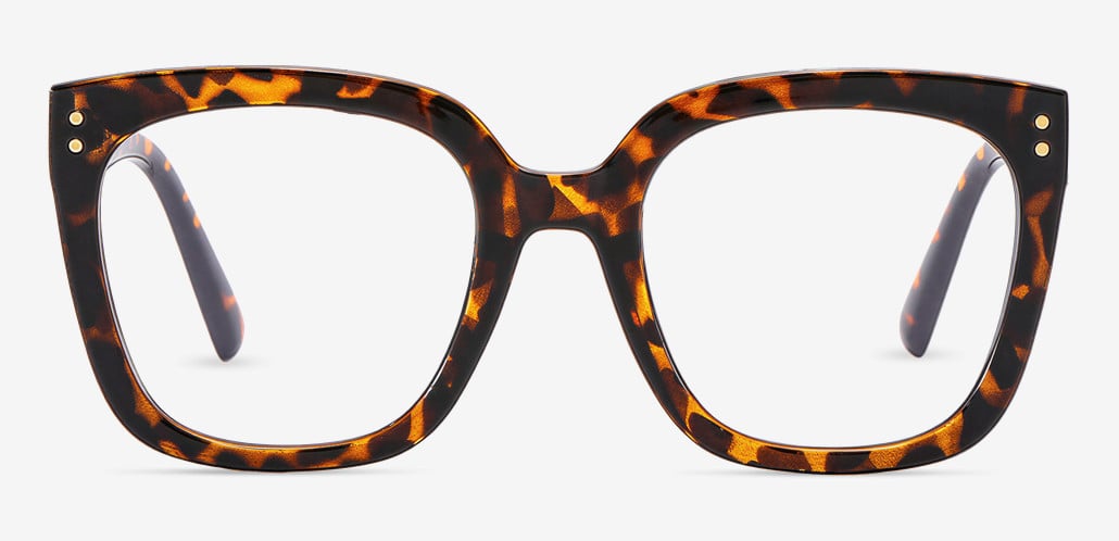 Trog Tortoise Square Glasses