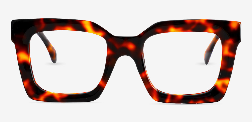 Steward Tortoise Square Glasses