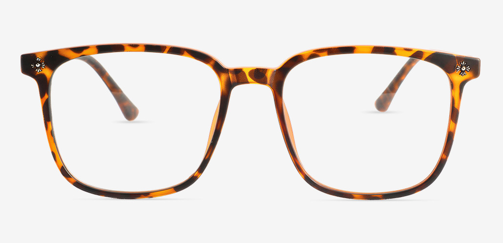Cornelius Tortoise Square Glasses