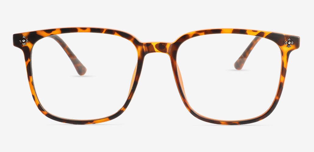 Cornelius Tortoise Square Glasses