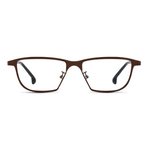 Regin Brown Rectangle Glasses