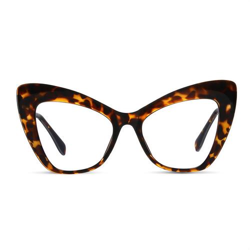 Huggins Tortoise Cat Eye Glasses