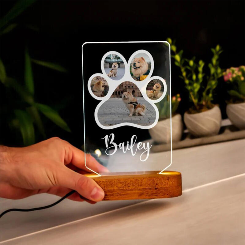 Personalized Pet Paw Print Acrylic Night Light with Wood Stand
