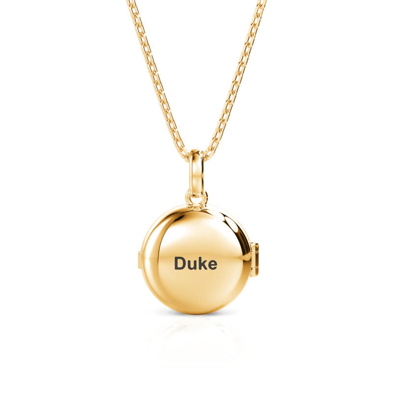 Jeulia Petland Collier Médaillon Photo Gravée Personnalisée Bulldog