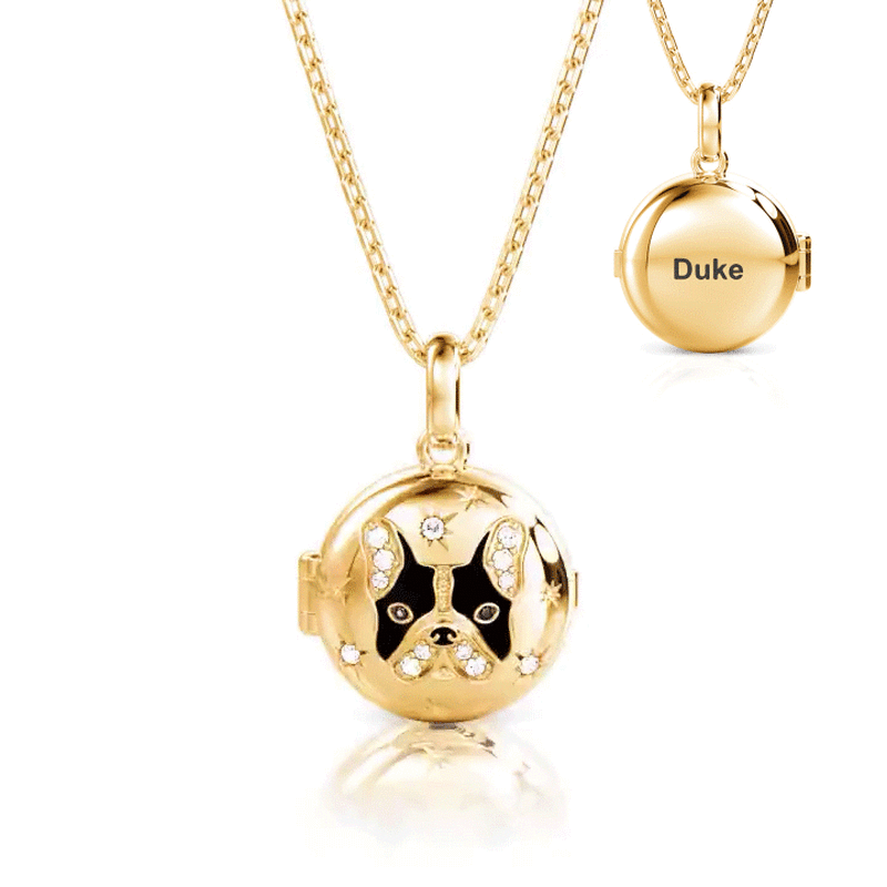 Jeulia Petland Collier Médaillon Photo Gravée Personnalisée Bulldog