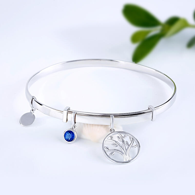 Jeulia Blessing Charm Bangle