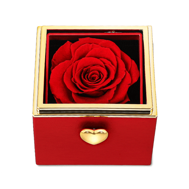 Jeulia Rotating Preserved Rose Jewelry Box for Rings Necklaces