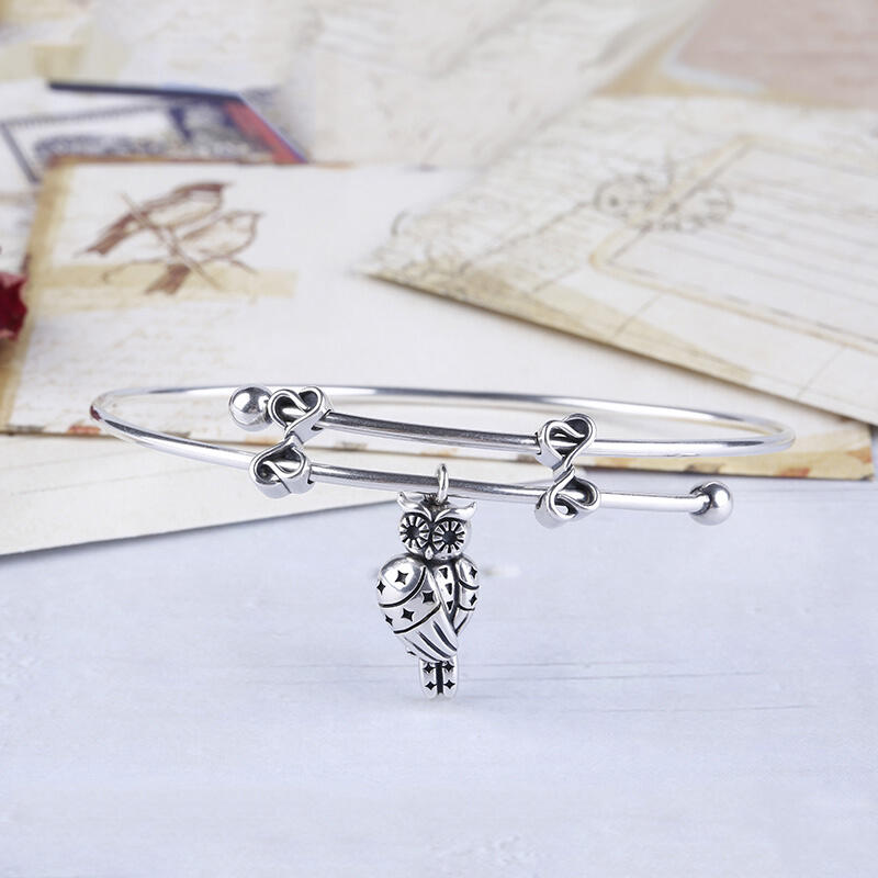 Jeulia Owlet With Stars Bangle