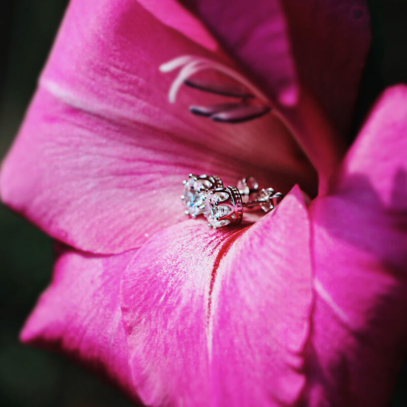 Jeulia Classic Crown Sterling Silver Stud Earrings