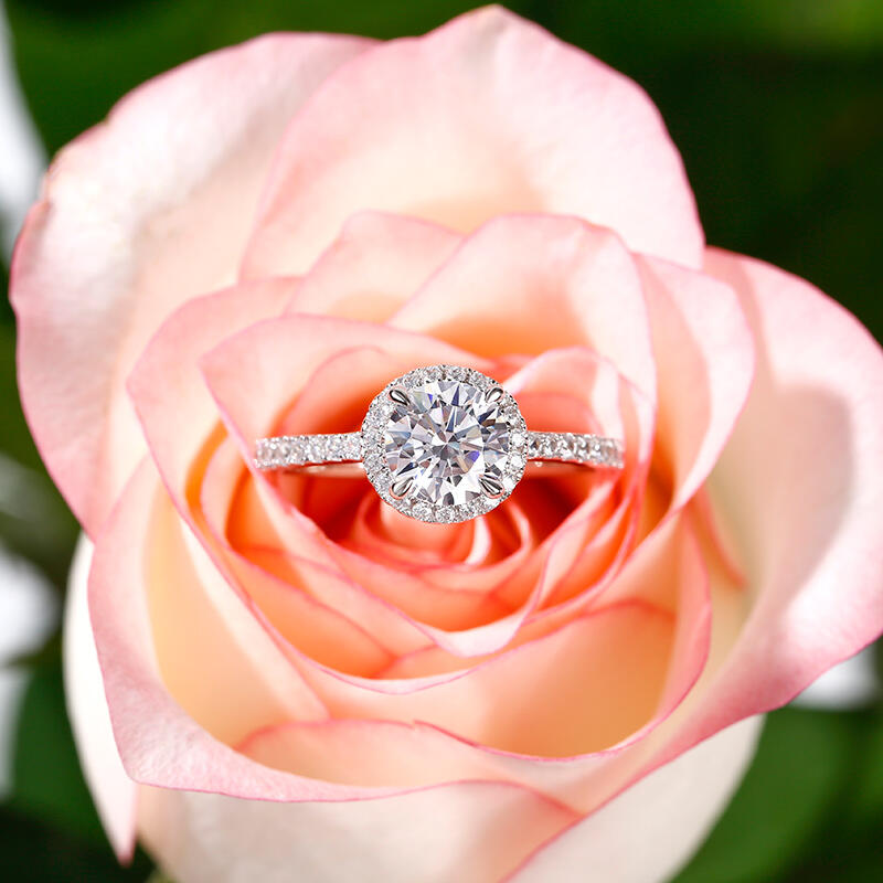 Jeulia Halo Anillo De Boda De 10K/14K/18K Oro De Corte Redondo