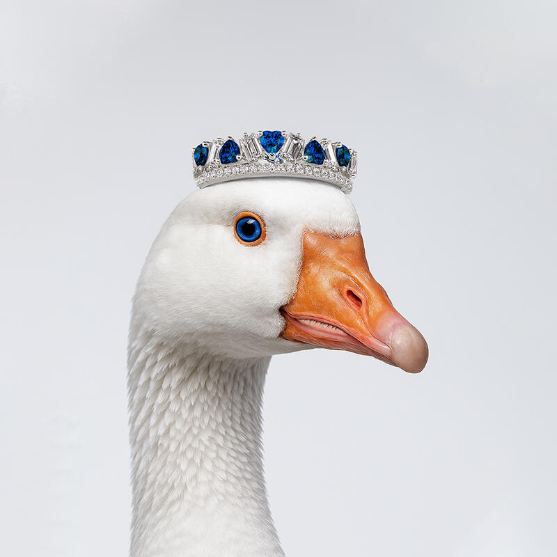 Jeulia Olivetta Double Row Eternity Ring for Women