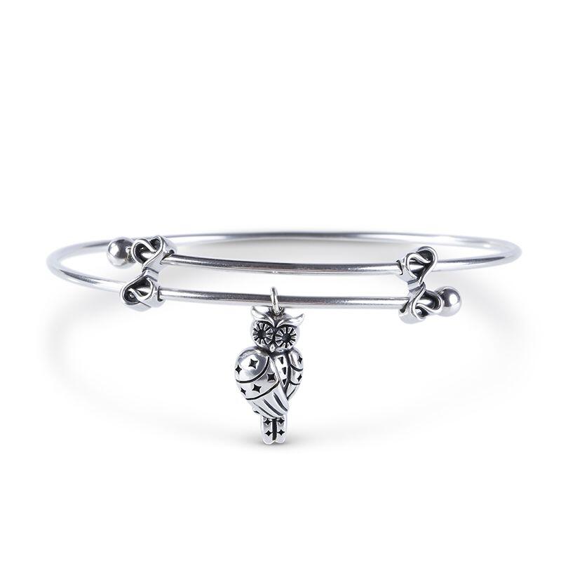 Jeulia Cute Owlet With Stars Sterling Silver Jewelry Set