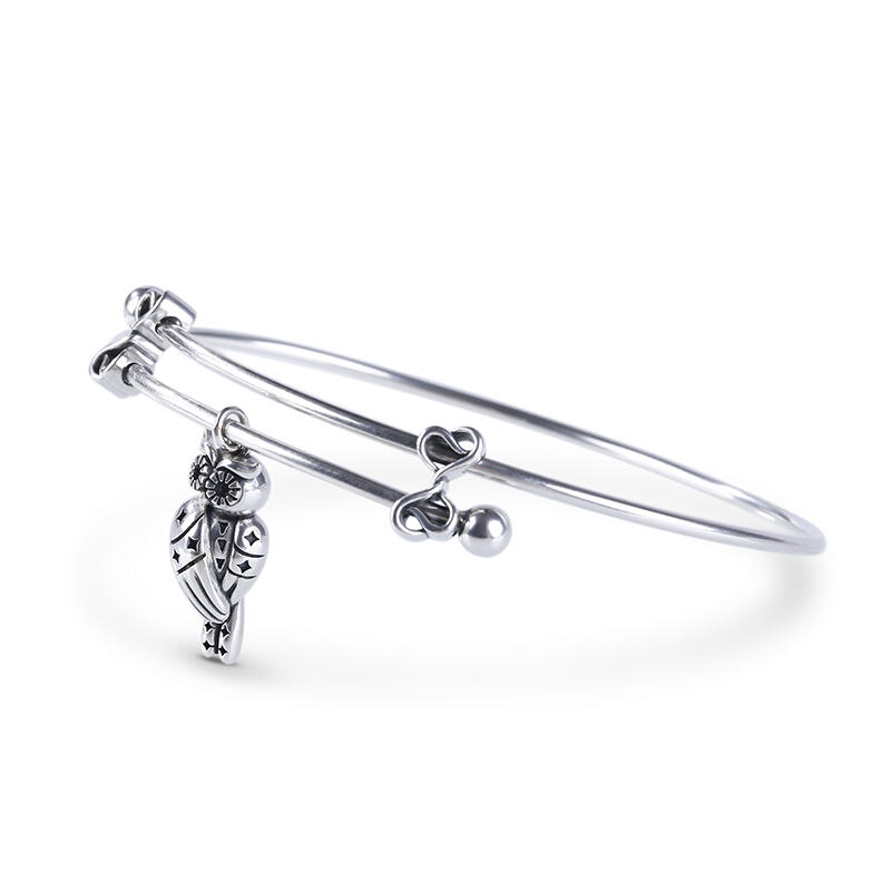 Jeulia Owlet With Stars Bangle