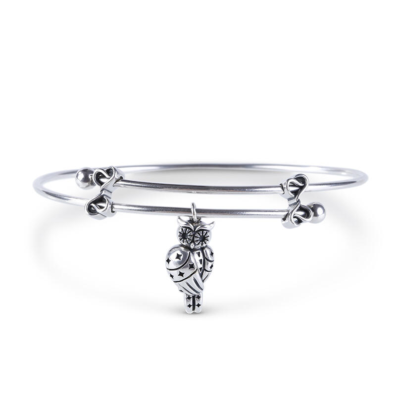 Jeulia Owlet With Stars Bangle