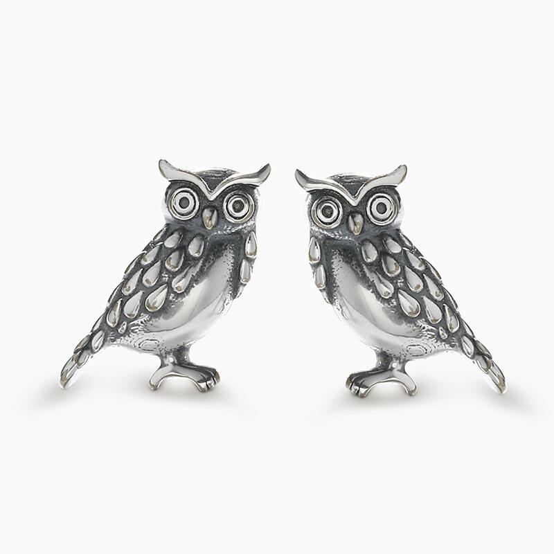 Jeulia "Wisdom Owl" Sterling Silver Earrings