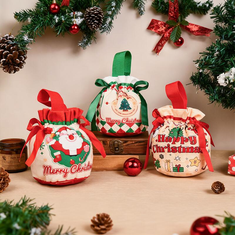 Beautiful Christmas Gift Bag Perfect Gift for Kids