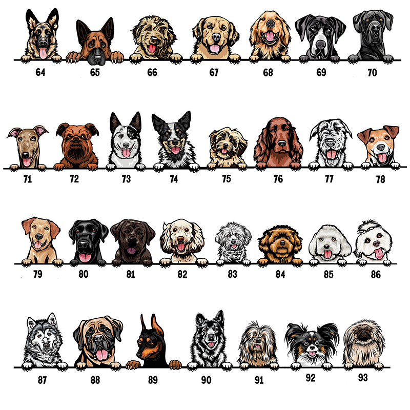 Mono de bebé personalizado Nuevo mejor amigo Mascotas opcionales Atractivo regalo de baby shower para amantes de las mascotas