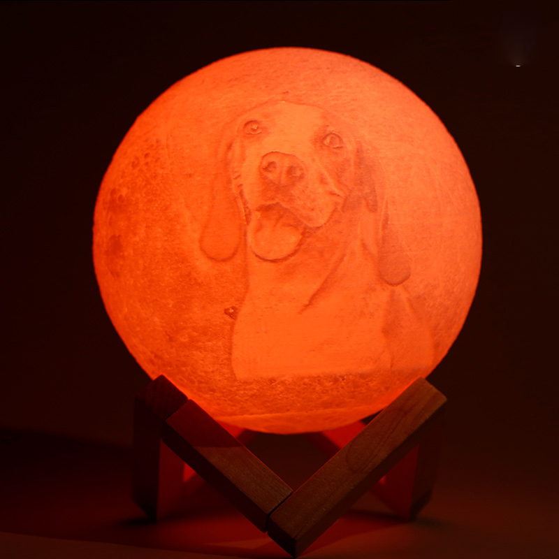 Télécommande 16 Coulours-Lampe Lune Photo, Lampe Photo 3D Personnalisée(10cm-20cm)