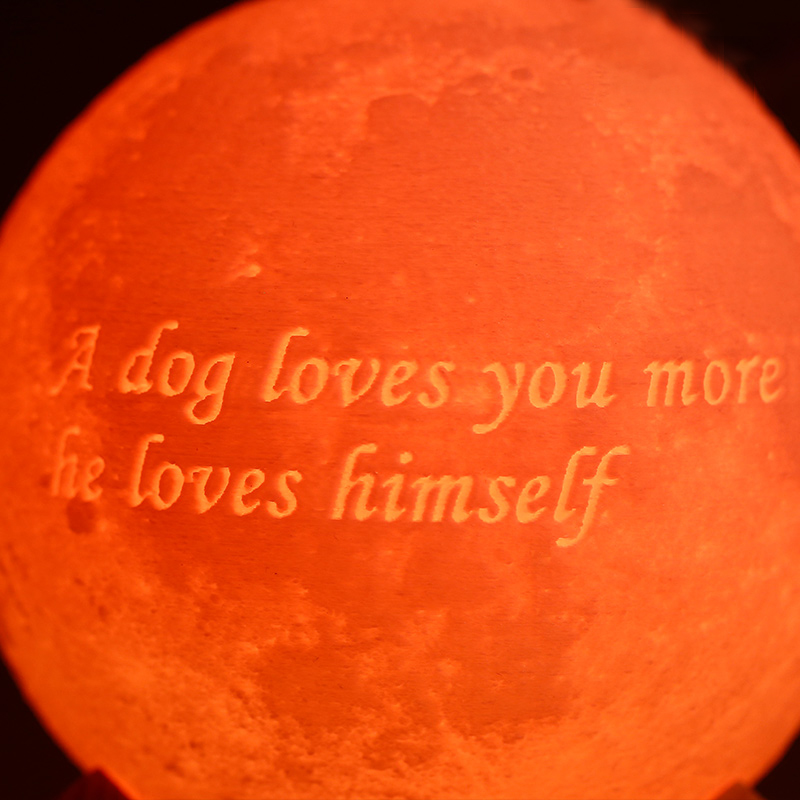 Télécommande 16 Coulours-Lampe Lune Photo, Lampe Photo 3D Personnalisée(10cm-20cm)