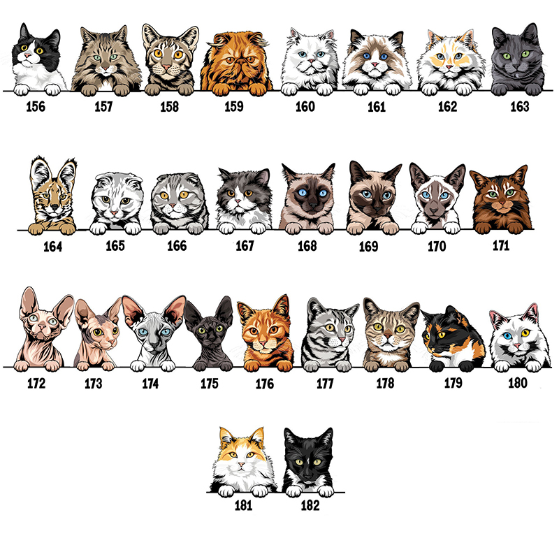 Mono de bebé personalizado Nuevo mejor amigo Mascotas opcionales Atractivo regalo de baby shower para amantes de las mascotas