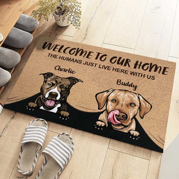 Welcome to Our Home Personalized Floor Mat with Pet Image and Name Gift