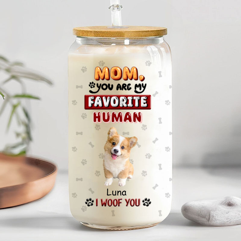 Personalized Picture Glass Cup with Lid And Straw Wonderful Present for Pet Lover