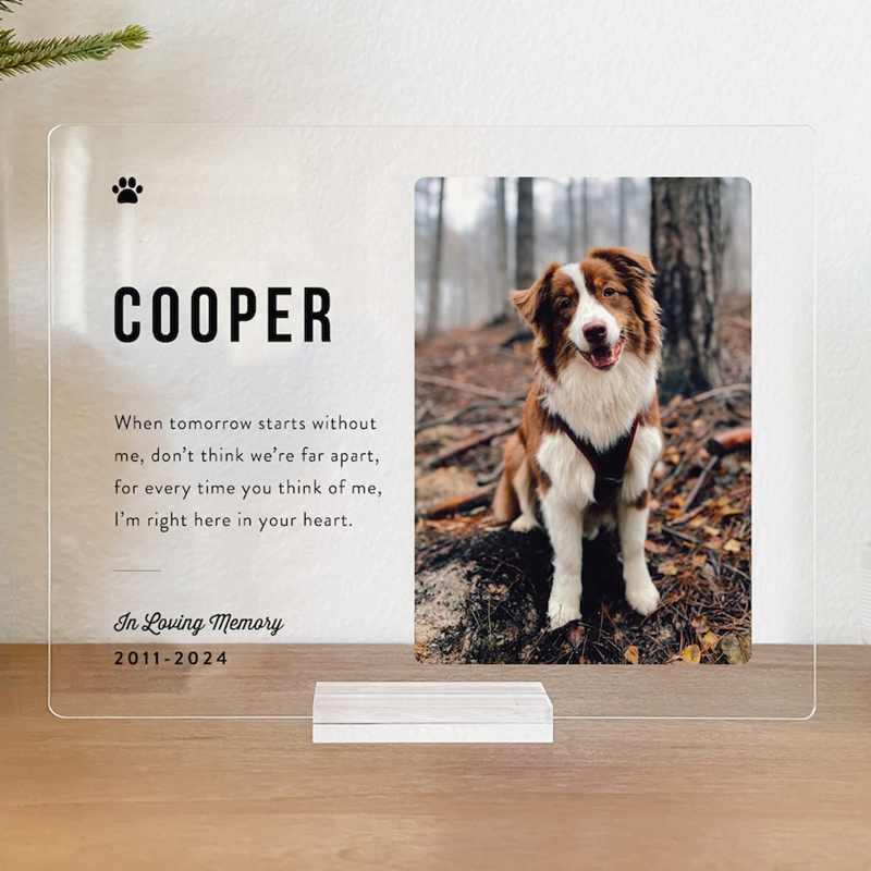 Personalized Acrylic Plaque Custom Photo Optional Memorial Quote Sympathy Gift for Pet Lover