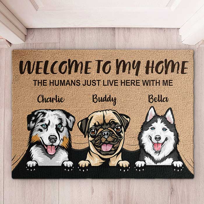 Welcome to Our Home Personalized Floor Mat with Pet Image and Name Gift