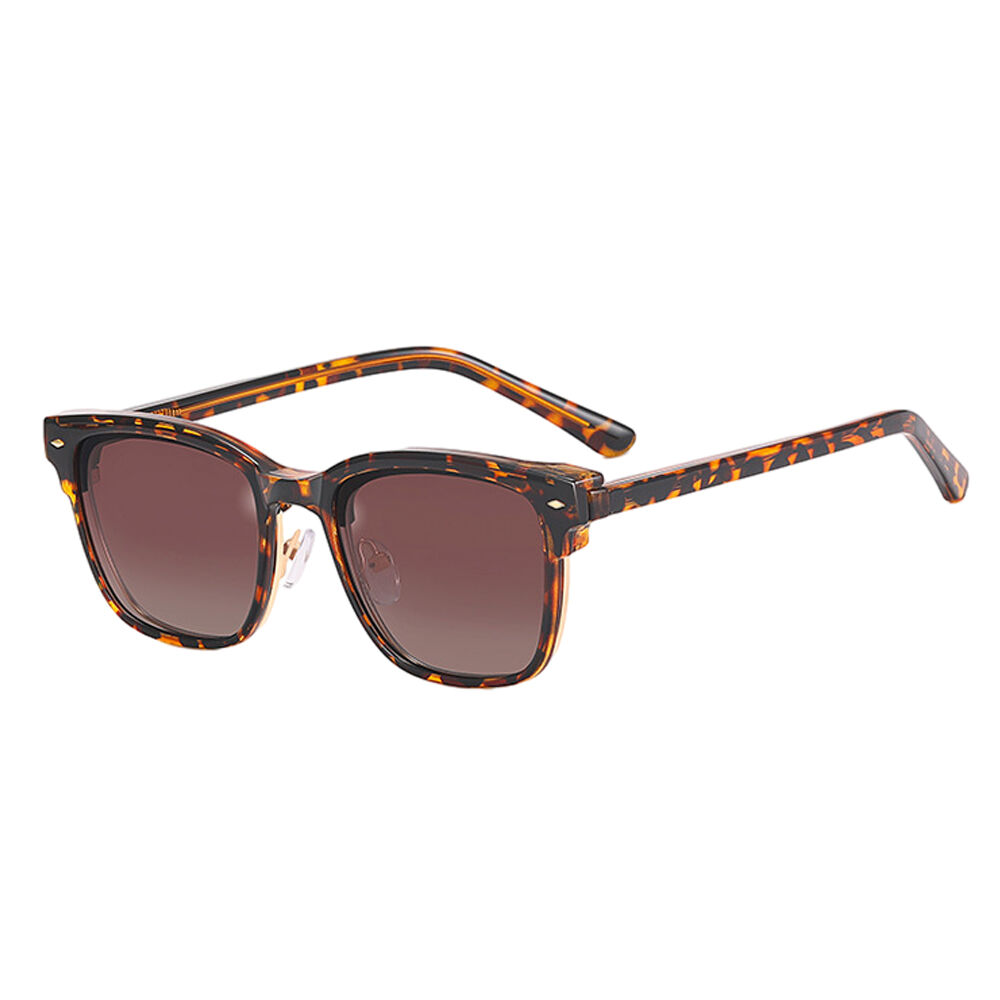 Evans Browline Tortoise Glasses