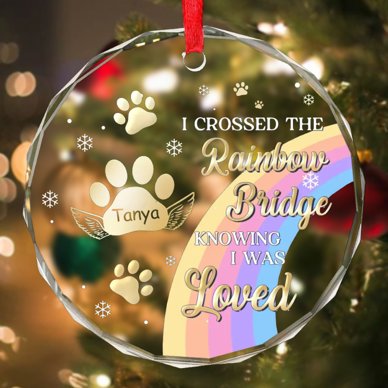 Personalized Round Christmas Ornaments Customized Pet Name Commemorative Gift