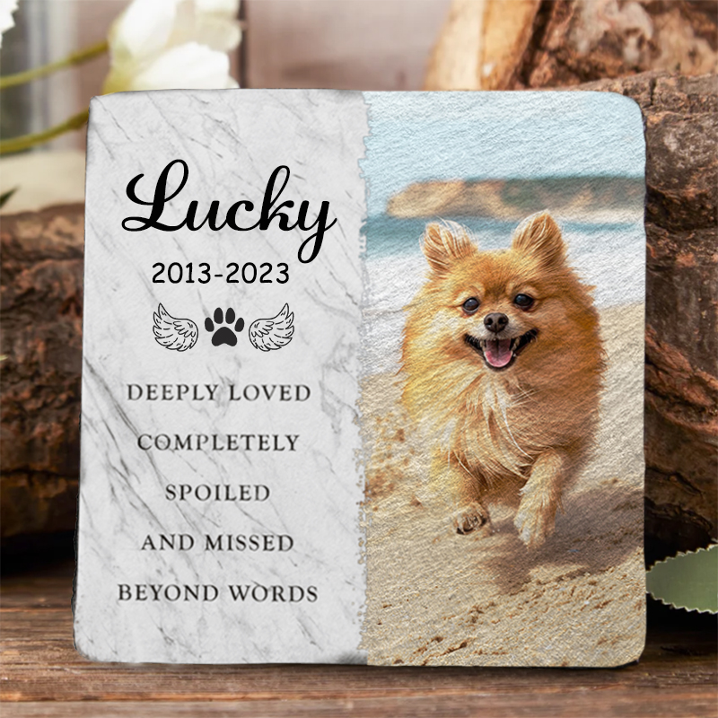Customized Pet Memorial Stones Cat/Dog Memorial Gifts for Loss of Pet